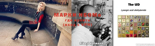 винт Аркадак