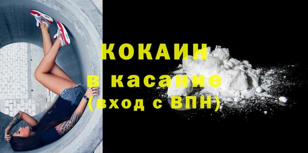 винт Аркадак