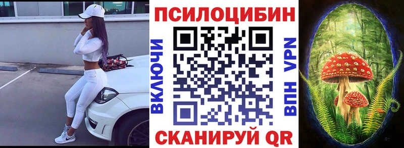 закладка  Армянск  кракен ТОР  Псилоцибиновые грибы GOLDEN TEACHER 